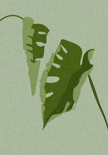 全网独家4K【幽香幽境】池昌旭×姜栋元高码率无删减高清尝鲜