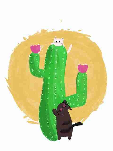 超清无水印【燃情乐章】陈意涵×池昌旭心跳共振独家加长4K高清抢鲜