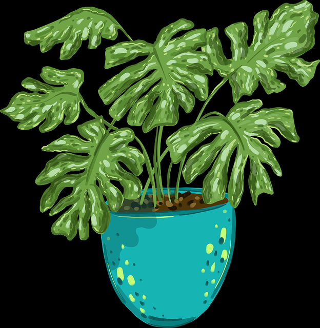 日韩情事宅男必看剧情详解